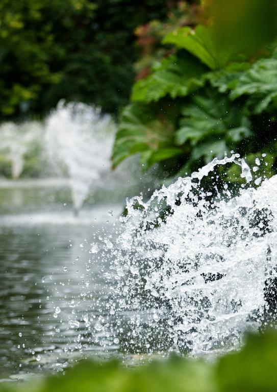 Egrove Park, Of Oxford Bed & Breakfast South Hinksey