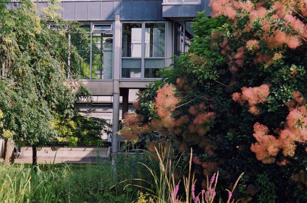 Egrove Park, Of Oxford